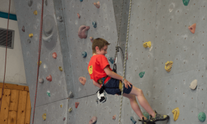 gal open 2014